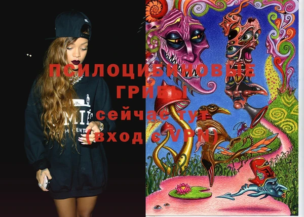 PSILOCYBIN Алексин
