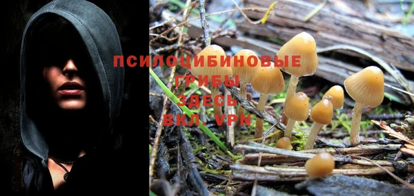 PSILOCYBIN Алексин