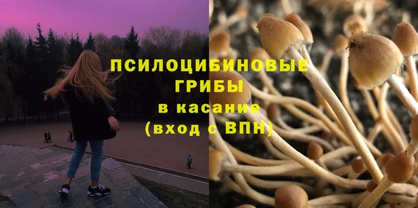 PSILOCYBIN Алексин