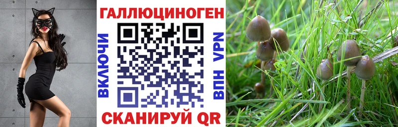 блэк спрут зеркало  купить  цена  Котовск  Псилоцибиновые грибы ЛСД 