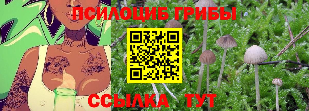 Псилоцибиновые грибы MAGIC MUSHROOMS  Вход с VPN  Котовск  Галлюциногенные грибы мухоморы 