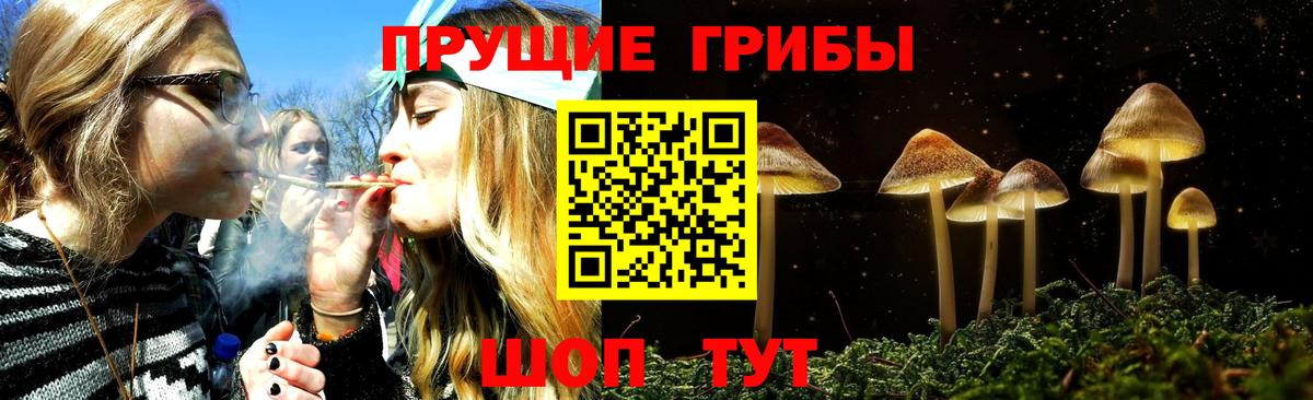 Псилоцибиновые грибы MAGIC MUSHROOMS Котовск